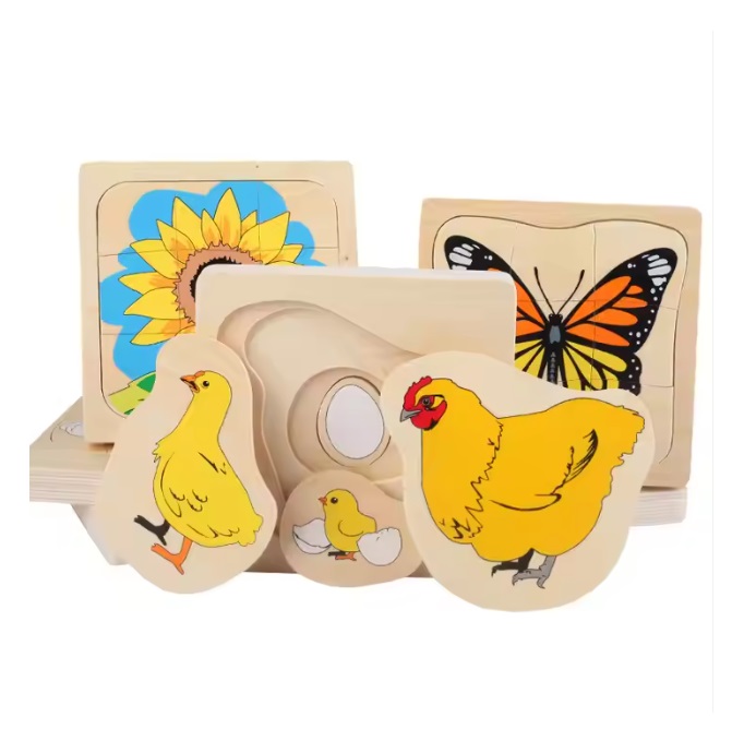 Life Cycle Jigsaw Puzzle